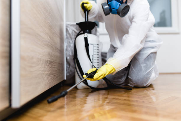 Best Affordable Exterminators  in Nephi, UT