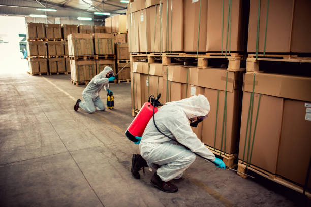 Flea Control Services in Nephi, UT