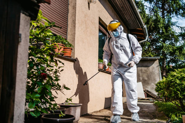 Wasp Removal Services in Nephi, UT