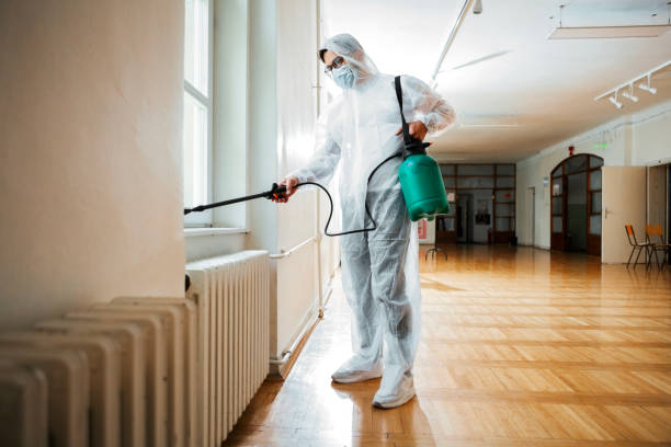 Best Bed Bug Extermination  in Nephi, UT