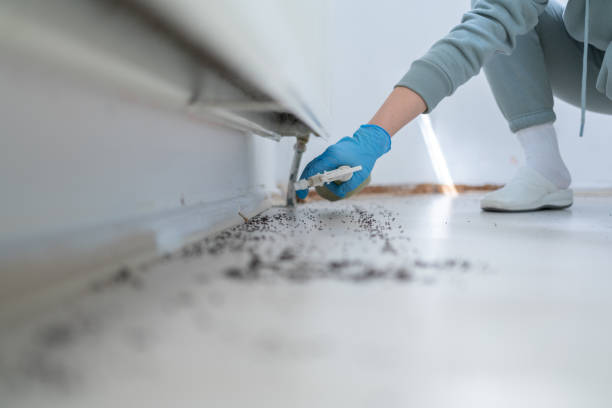 Nephi, UT Pest Control Company